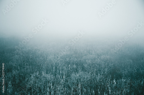 Aerial view of winter in fog, snow nature landscape with mist as winter background for design with copy space