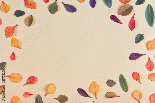 Abstract background with colorful leaves on yellow