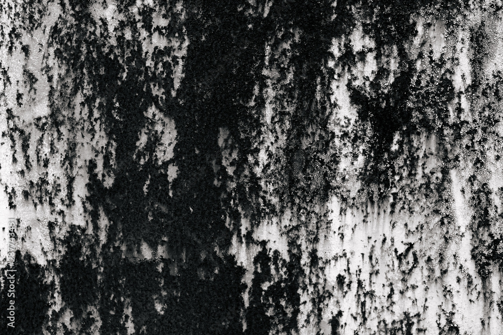 black and white texture of old boards. grunge black and white texture of old boards. grunge