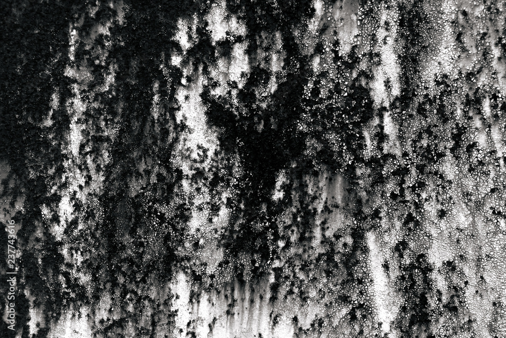 black and white texture of old boards. grunge black and white texture of old boards. grunge
