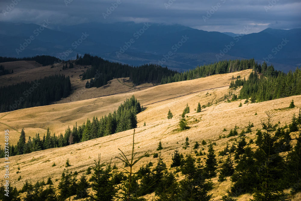 Obraz premium The sun illuminates the Carpathian mountain valley. Autumn in Carpathians mountain. Bright autumn. Location in western Ukraine, Carpathian Mountains