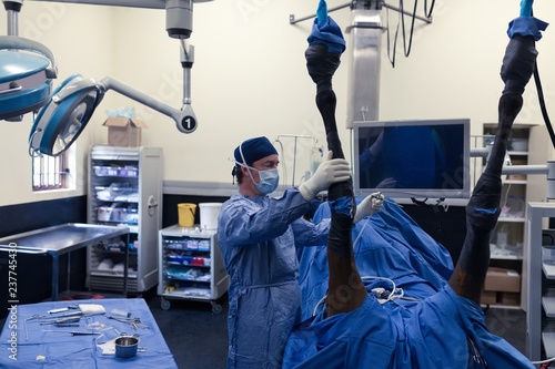 Veterinarian examining horse in operating room