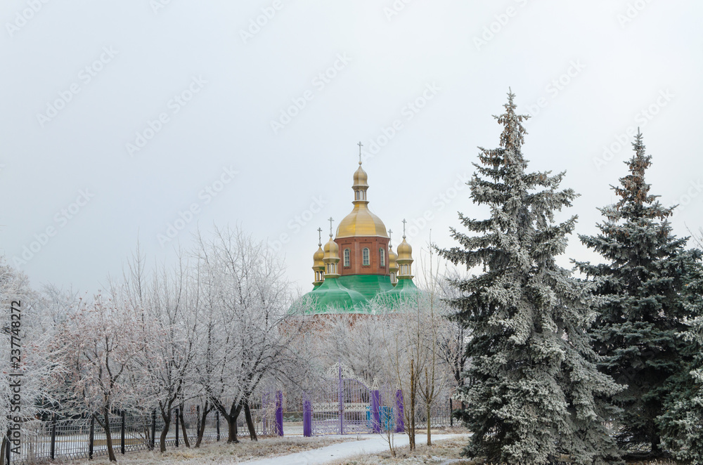 Obraz premium Golden domes behind the branches of trees in winter.
