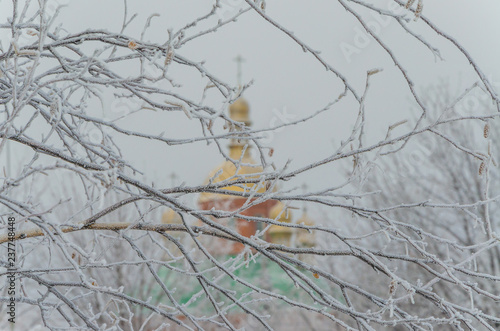 Golden domes behind the branches of trees in winter.
