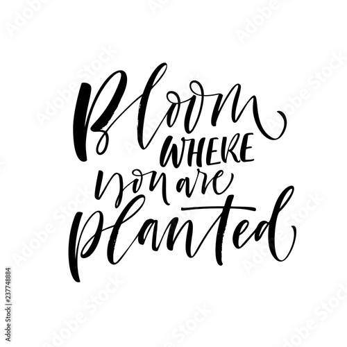Bloom where you are planted card. Hand drawn modern calligraphy. Vector ink illustration.