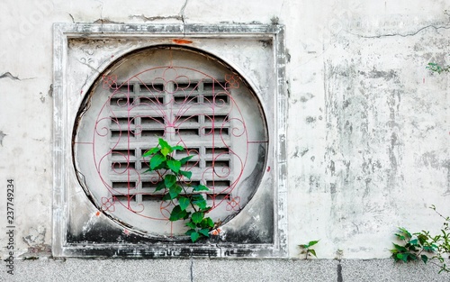 Wallpaper Mural Chinese window on wall in the garden Torontodigital.ca