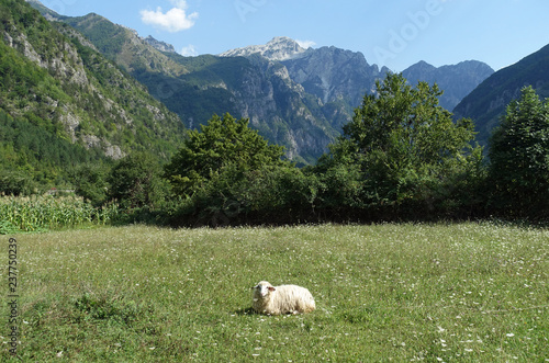 Gebirgslandschaft im Nationalpark Theth, Nordalbanien