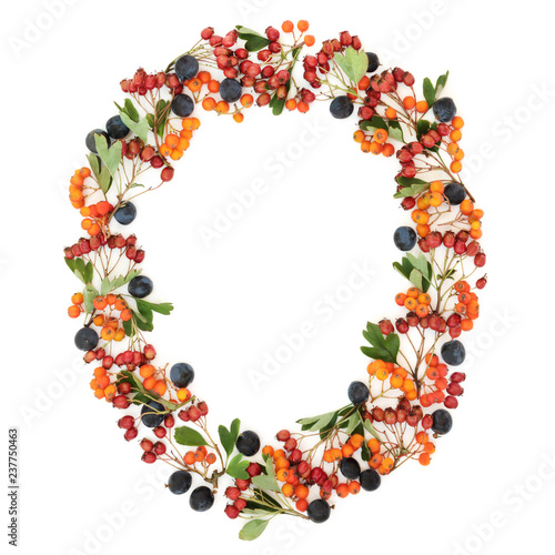 Autumn berry oval wreath with blackthorn, hawthorn and rowan berries on white background with copy space.