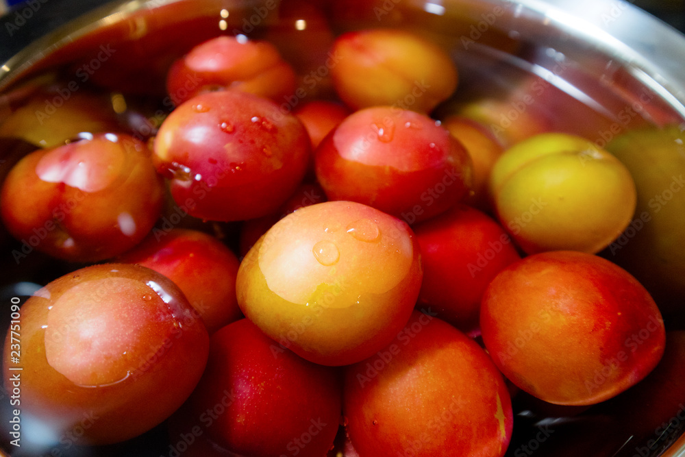 Fresh summer fruit,plum / 瑞々しい夏の果実、すもも Fresh summer fruit,plum / 瑞々しい夏の果実、すもも