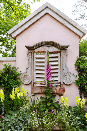 Garden shed with foxglove