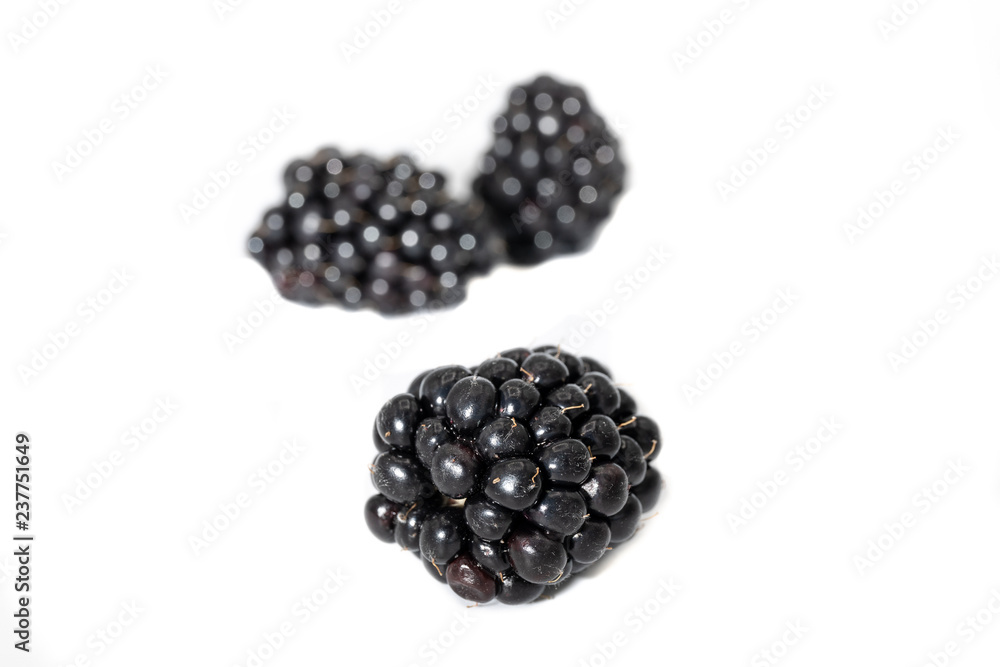 Brombeere Brombeere