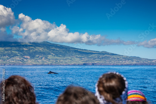 A group of tourists in a whale watching trip between the islands of Pico and Faial. They look for spermwhale resting before diving. photo