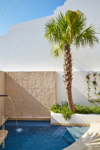Swimming pool in backyard