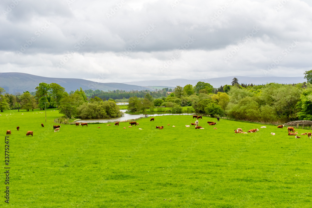 Russborough House & Parklands - 6 Russborough House & Parklands - 6