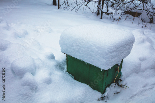 Wallpaper Mural Snow cover in the yard. Snowy winter Torontodigital.ca