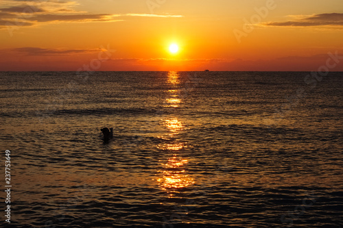 Swimming woman enjoying the sunrise of Aegean sea. © Lalandrew