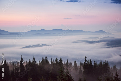 Fototapeta Naklejka Na Ścianę i Meble -  Colored sunrise in forested mountain slope with fog