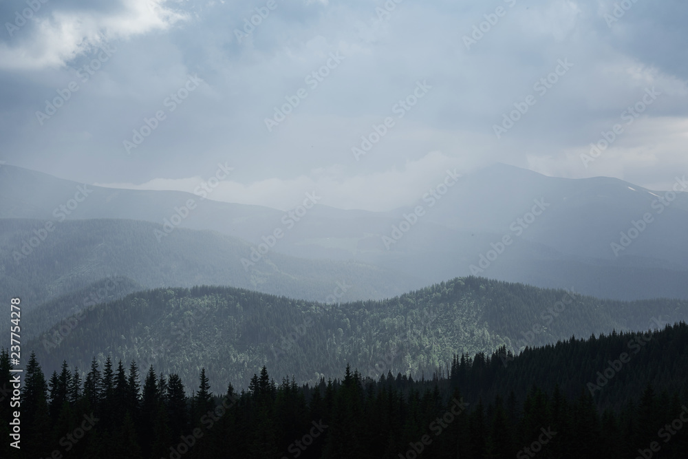 Fototapeta Scenic mountains landscape after rain. Carpathians of Ukraine