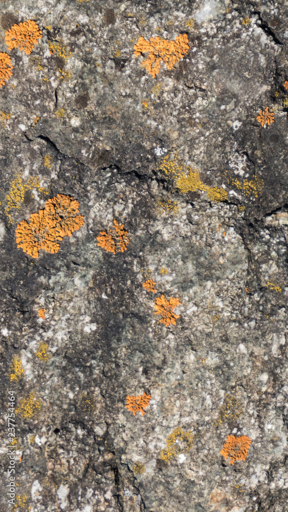 Smartphone HD wallpaper of granite surface texture Smartphone HD wallpaper of granite surface texture