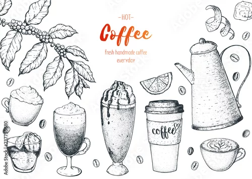 Obraz Filiżanki, fasole i kawowego drzewa ilustracja. Vintage design do kawiarni. Grawerowane ilustracji wektorowych