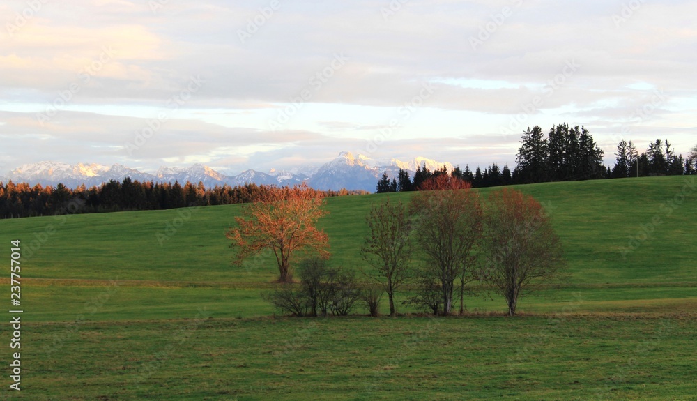 Herbstliche Landschaft mit schneebedeckten Bergen im Hintergrund, Allgäu, Bayern