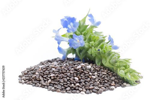 Chia (Salvia hispanica) Pile of seeds with flowers on white background