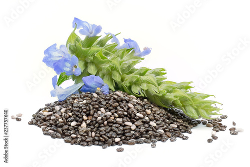 Chia (Salvia hispanica) Pile of seeds with flowers on white background