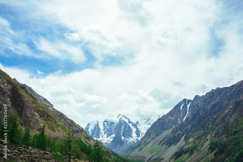 View on wonderful glacier behind giant mountains. Snowy mountain range. Huge amazing rocky mountain with snow on top. Coniferous trees. Atmospheric landscape of majestic nature of highlands.