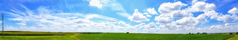 Panorama of farm and sky