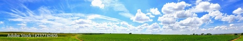 Panorama of farm and sky