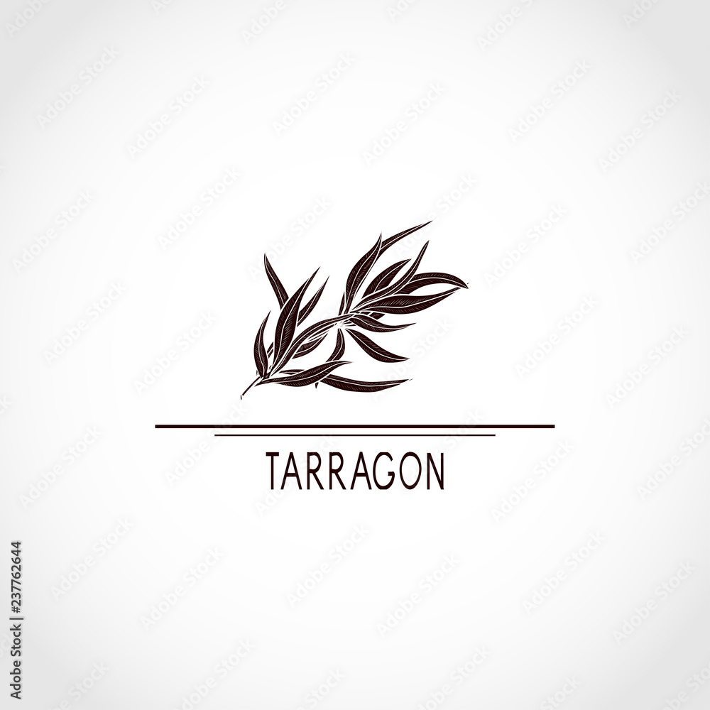 Tarragon. Plant, text. Logo, emblem, sign, symbol. Black silhouette on white background.