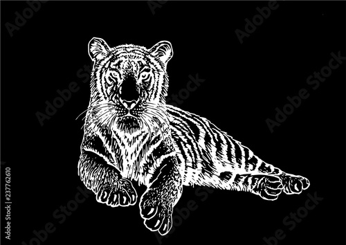 Graphical set of tigers isolated on black,vector tattoo illustration