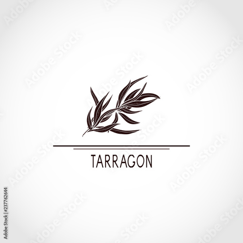 Tarragon. Plant, text. Logo, emblem, sign, symbol. Black silhouette on white background.