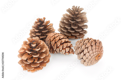 Pine cones isolated on white background