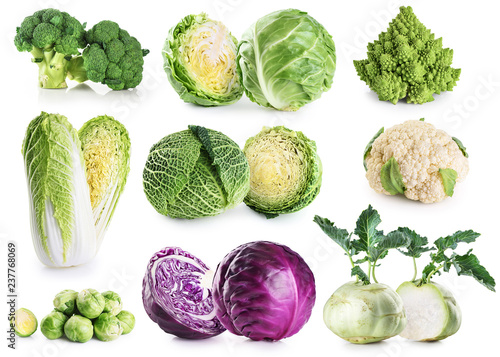 Cabbage collection isolated on white background.