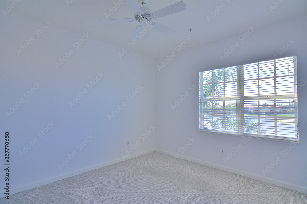 Fototapeta premium Housing it