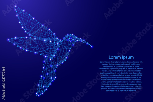 Hummingbird colibri flying bird from futuristic polygonal blue lines and glowing stars for banner, poster, greeting card. Vector illustration.