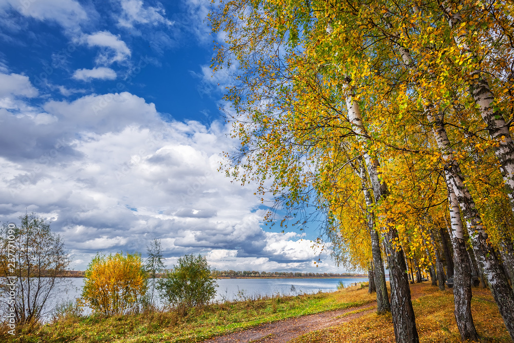 Fototapeta premium Autumn landscape on the river. Western Siberia, Novosibirsk region, Russia