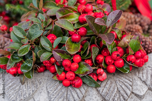 Scheinbeere dekorativer Weihnachtsschmuck