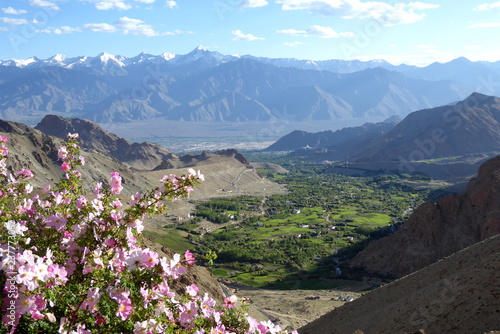 View of the Indus Valley and the Zanskar Range, Ladakh photo