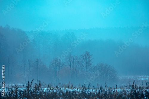 Foggy morning in the countryside in late autumn. Rural landscape in the early morning. Blue tinted