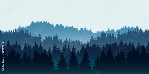 Realistic illustration of coniferous forest on hills in multiple layers, under blue sky and space for text, vector
