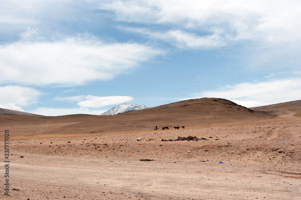 The Tolbo lake area in Mongolia