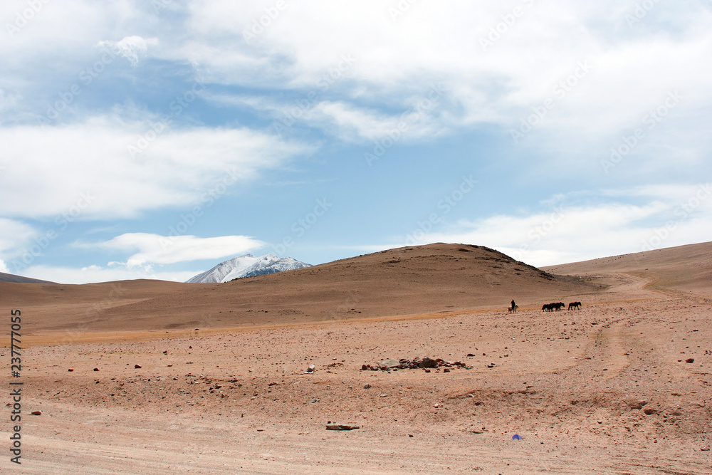 The Tolbo lake area in Mongolia