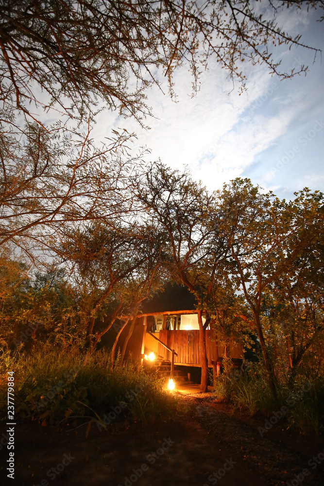Mosetlha Bush Camp im Madikwe Wildreservat in Südafrika