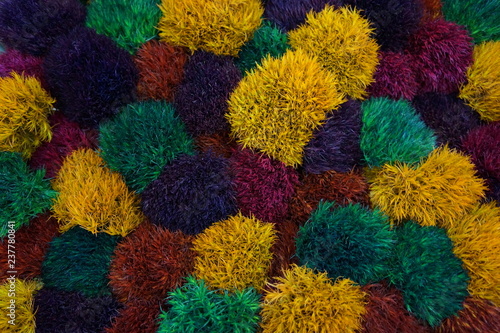 Fiori di crisantemo colorati © ziopoldaccio