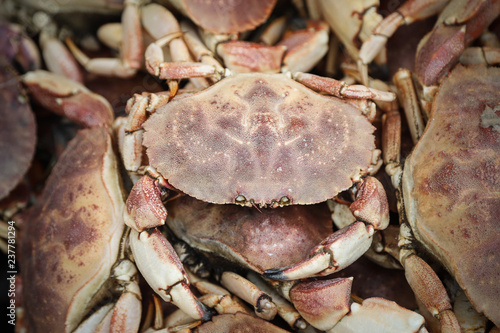 Fresh crabs at food market