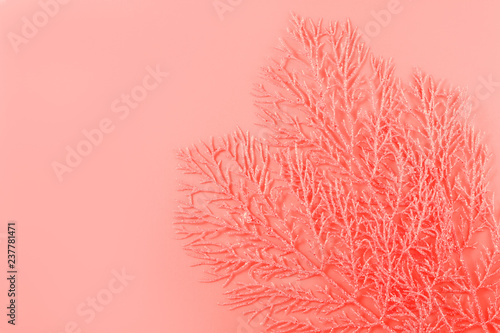 Trend photography on the theme of the actual colors for this season - a shade of orange. Orange decorative branches resembling coral on a paper background..