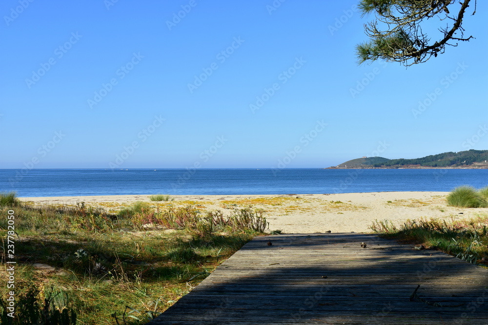 Beach with boardwalk, golden sand, vegetation in sand dunes and pine tree. Blue sea, sunny day, Galicia, Spain.