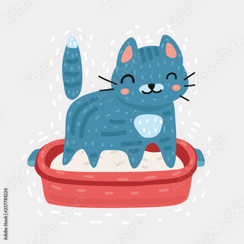 Small gray kitten in plastic litter box.
